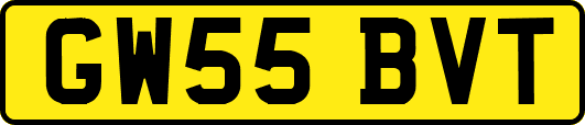 GW55BVT