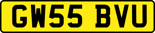 GW55BVU