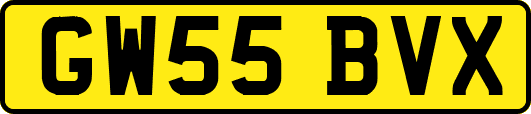 GW55BVX