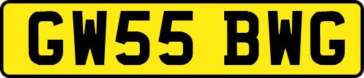 GW55BWG