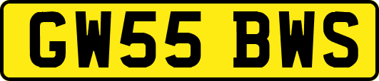 GW55BWS