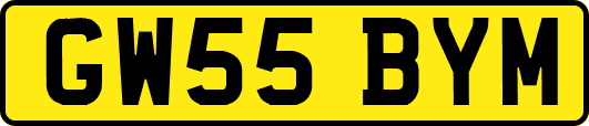 GW55BYM
