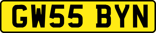 GW55BYN