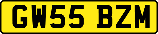 GW55BZM