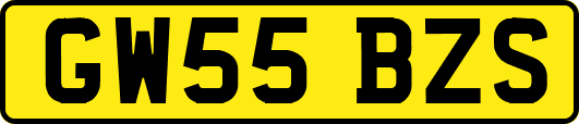 GW55BZS