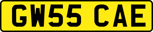 GW55CAE