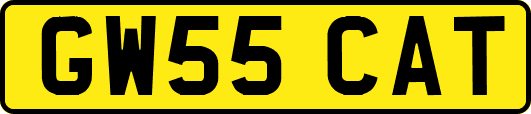 GW55CAT