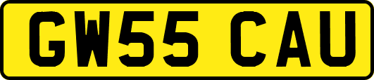 GW55CAU