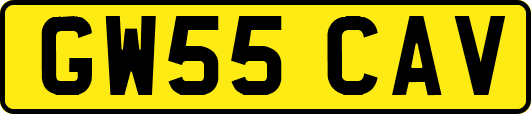 GW55CAV
