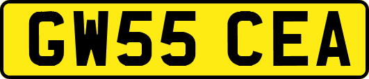 GW55CEA