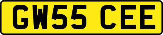 GW55CEE