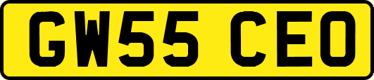 GW55CEO