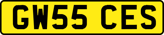 GW55CES