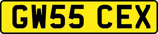 GW55CEX
