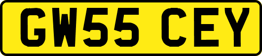 GW55CEY