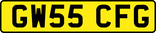 GW55CFG