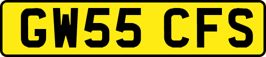 GW55CFS