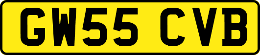 GW55CVB