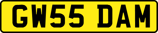 GW55DAM