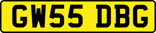 GW55DBG