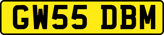GW55DBM