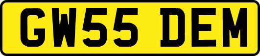 GW55DEM
