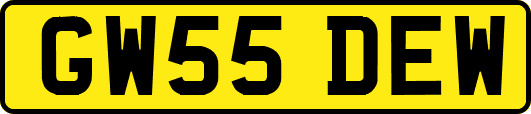 GW55DEW