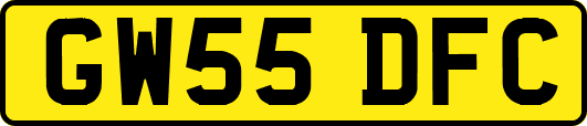 GW55DFC