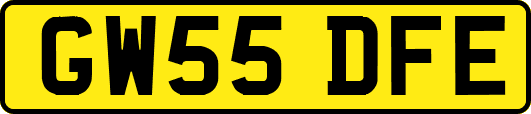 GW55DFE