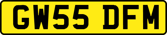 GW55DFM