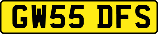 GW55DFS