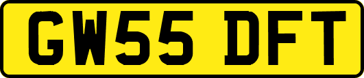 GW55DFT
