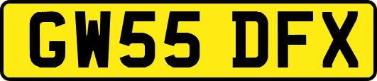 GW55DFX