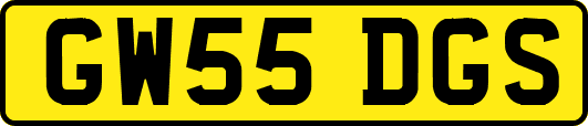 GW55DGS