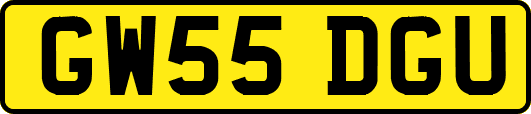 GW55DGU