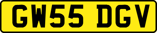 GW55DGV