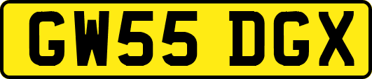 GW55DGX
