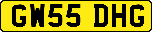 GW55DHG