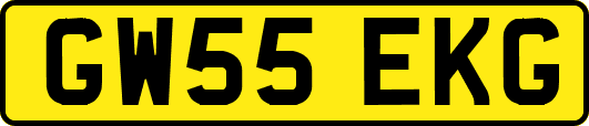 GW55EKG