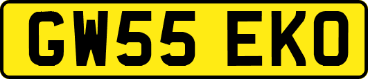 GW55EKO