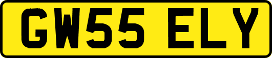 GW55ELY