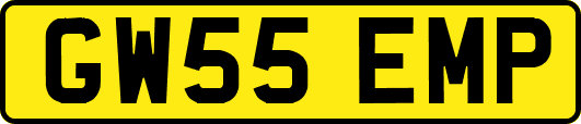 GW55EMP