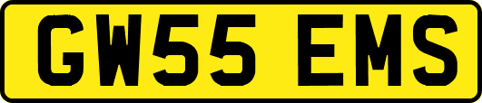 GW55EMS