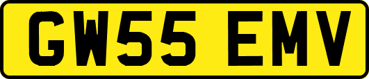 GW55EMV