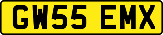 GW55EMX