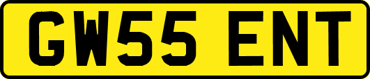 GW55ENT