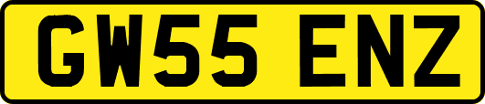 GW55ENZ