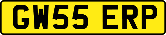 GW55ERP