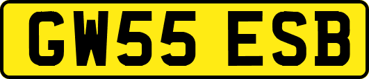 GW55ESB