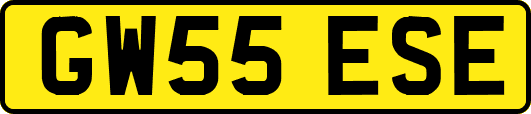 GW55ESE